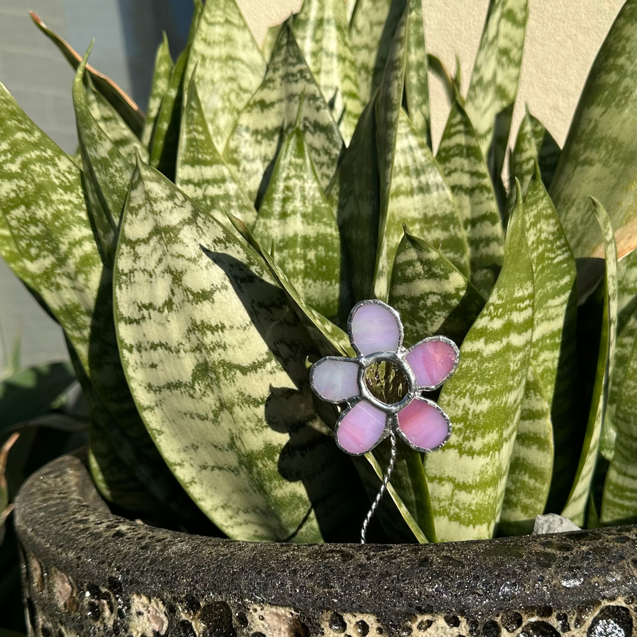 Little Pink Flower Garden Spike