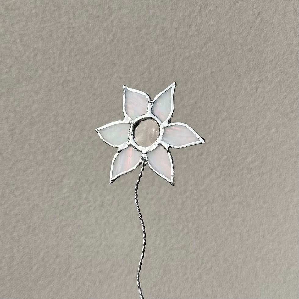 Thumbnail: White and Pale Peach Flannel Flower Garden Spike