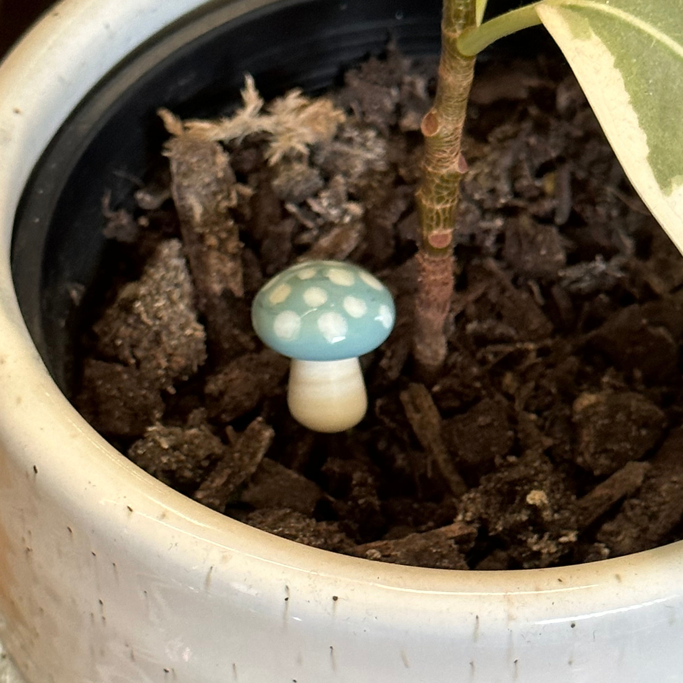 Dusty Blue and Ivory Mushroom Plant Friend