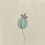 Thumbnail: Cactus Flower Baby Garden Spike