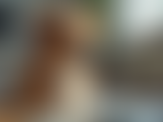 Online Canine Consultations for Pet Owners