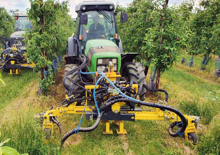 Caffini Grasskiller