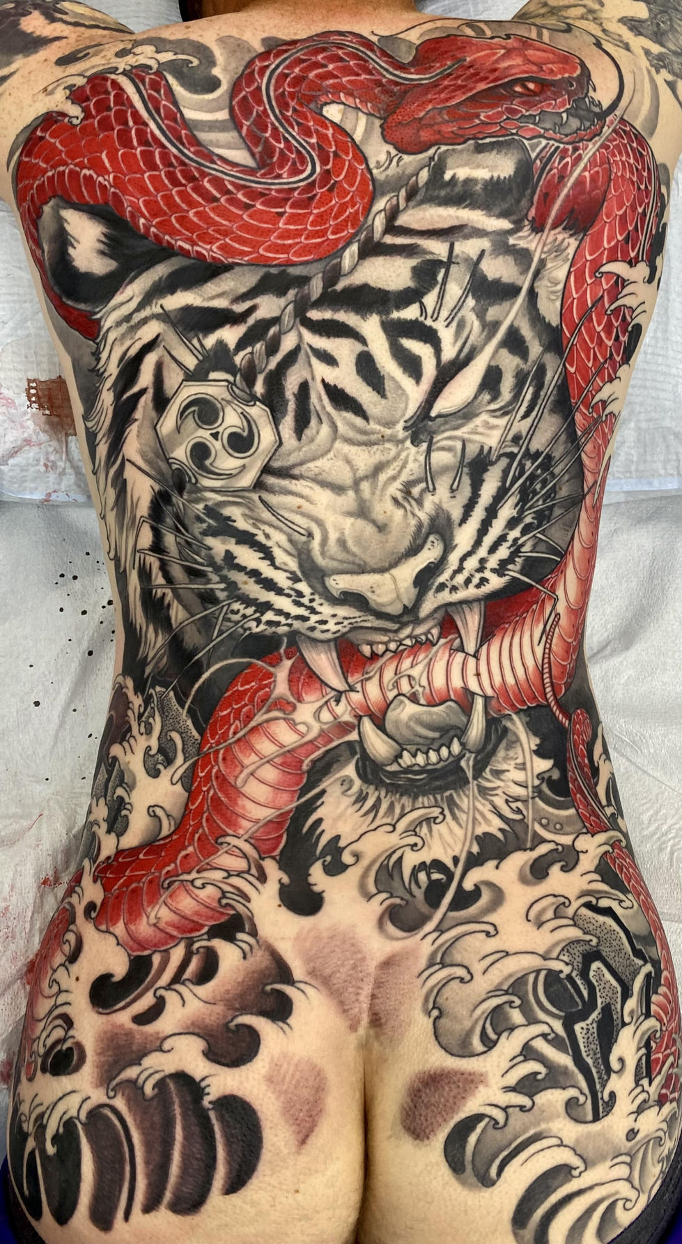 tiger vs Snake