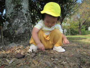 クレッシェRio:お散歩🐾