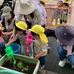 ナーシェリ大森:大きくなったよ🥬