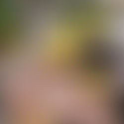 ナーシェリ大森：みつけたよ👀