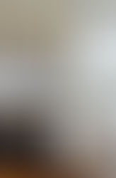 TIDY LIKE A FOX - ONCE UPON A CHEF