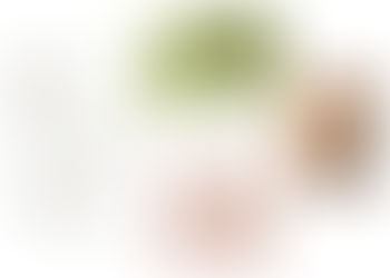 TRENDY HIGH POINT FOX FINDS