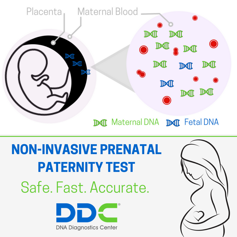 Ddc Certainty Non Invasive Prenatal Paternity Test Template Advanced Paternity Test during pregnancy - Certainty Test