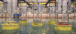 WECFarm Wave Energy Converter Array System Experiment Ghent University