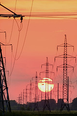 gridline at dusk