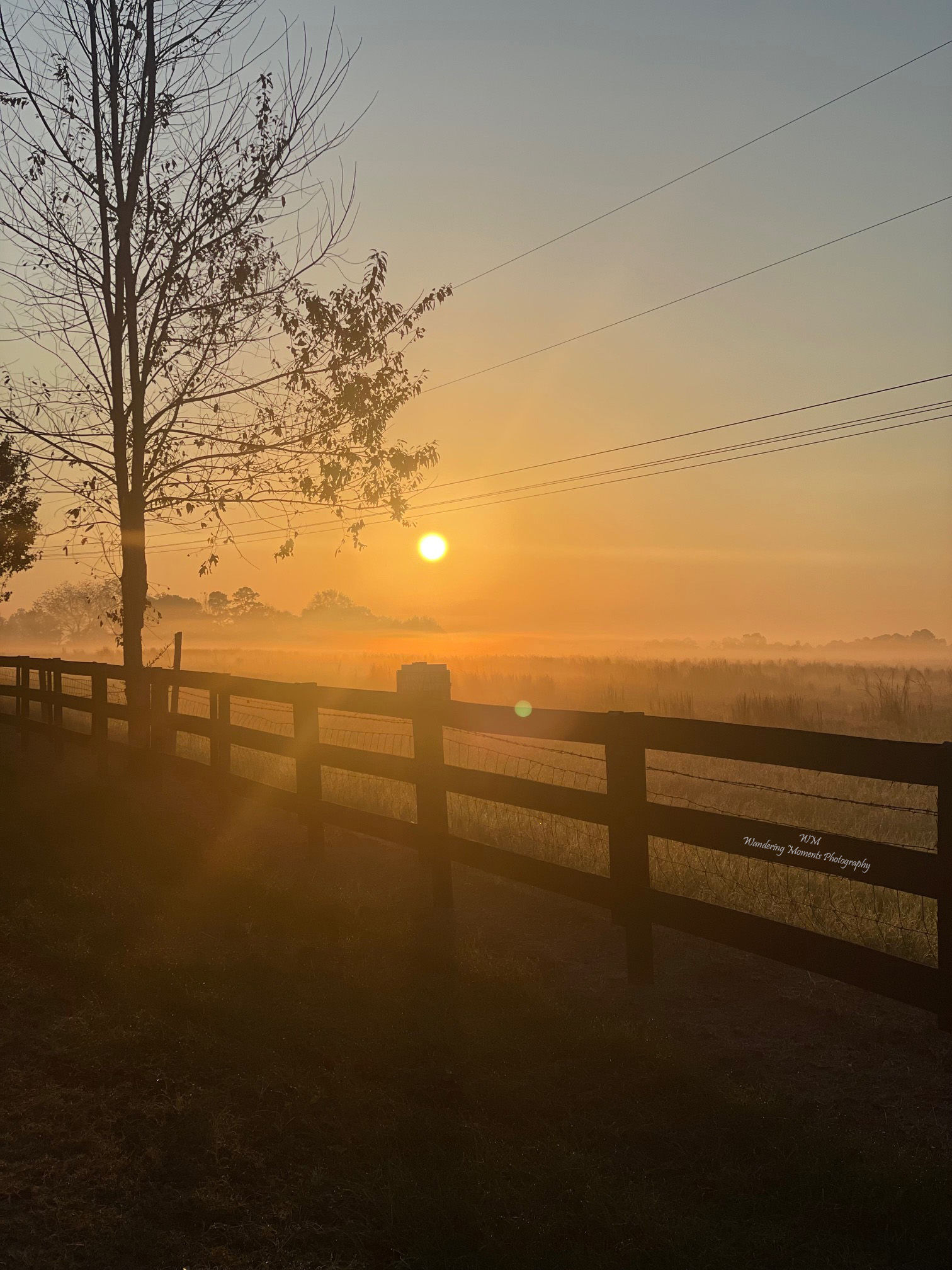 Golden Serene Sunset Print 8 x 10