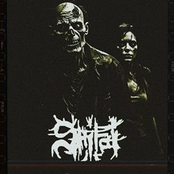 SHITAI: Versión física del EP "Shitai" anunciada para enero de 2026; Más información