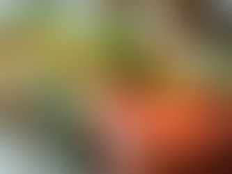 Liberated by "Food is Medicine"