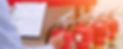 bombeiros 01.jpg