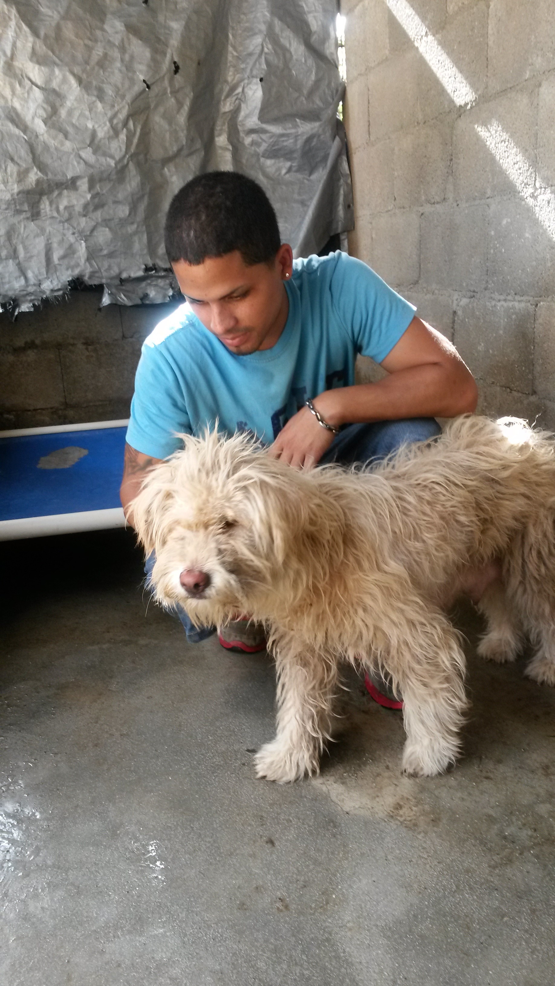 Sugar at the rescue