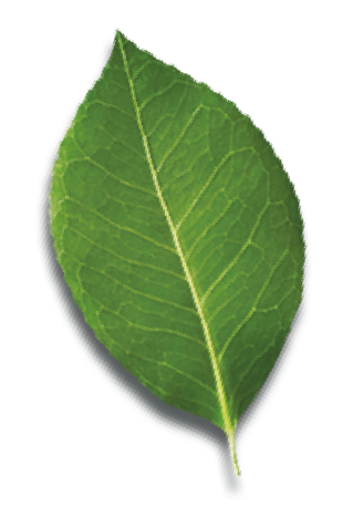 Foto del escritor: Aldora