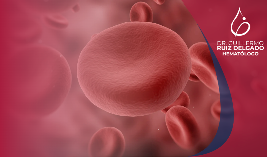 ¿Qué es la hemofilia y cómo afecta la coagulación de la sangre?