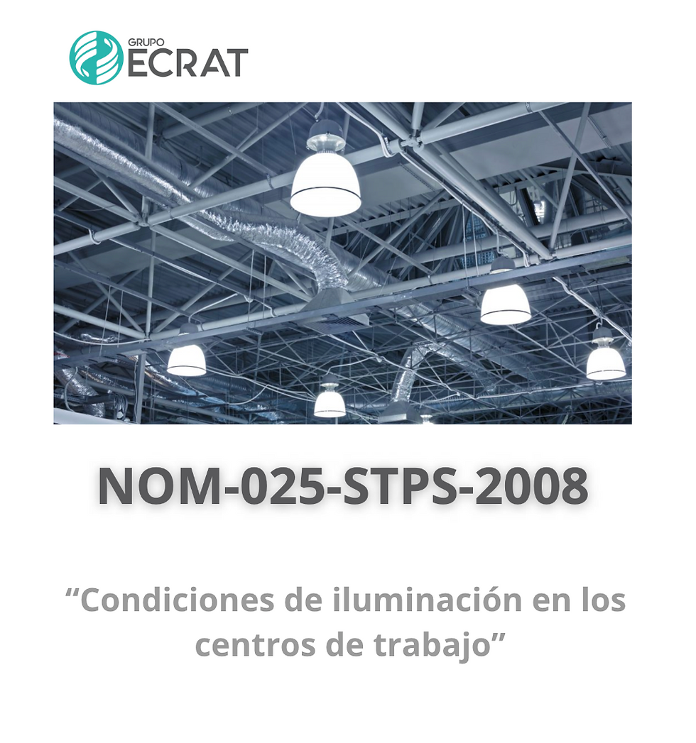 NOM-025-STPS-2008
