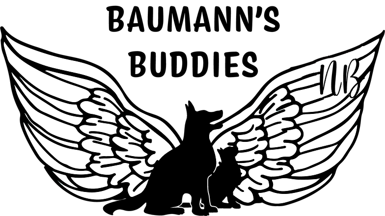 Baumann Logo (2).png