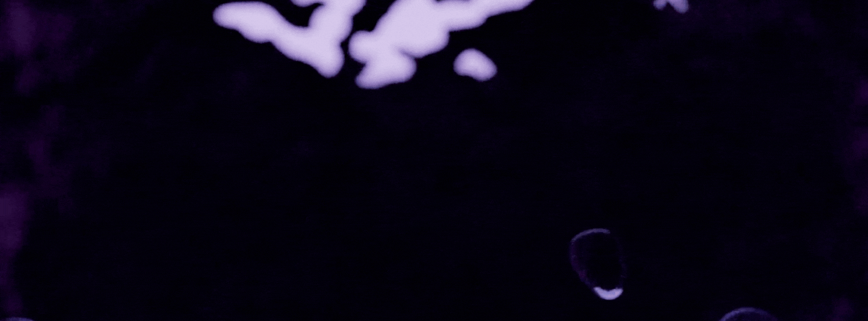 bubble animation for fragrance