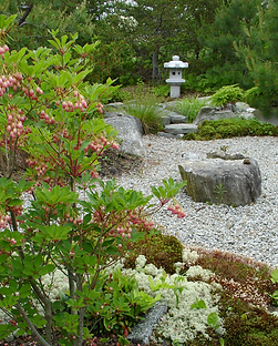 2008 06 20 115crop.tif