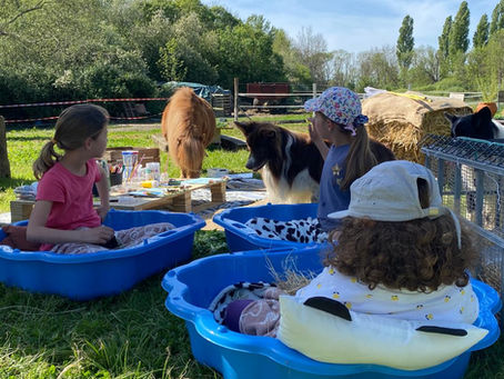 Vacances de Printemps à la ferme