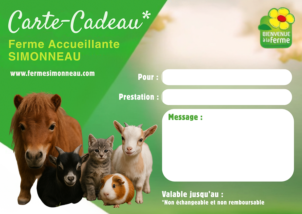 Carte cadeau