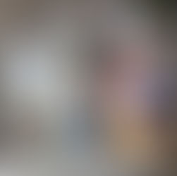 Découverte des animaux