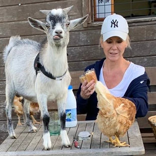 Découverte des animaux