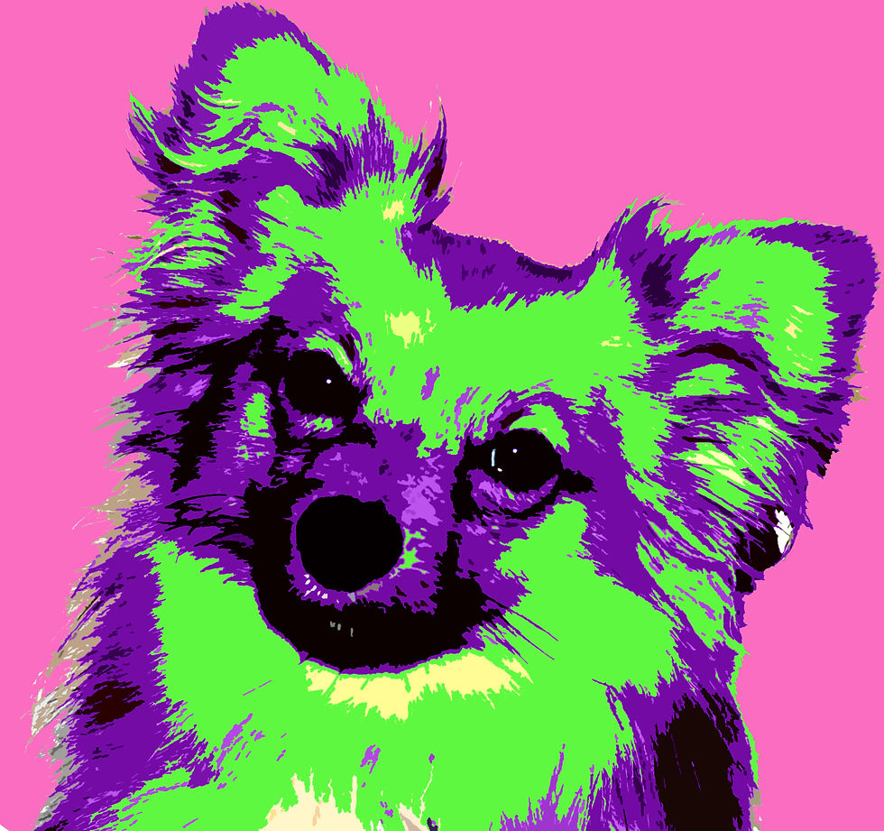 pop_art_pet_lge.jpg