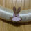 Thumbnail: Ballerina Bunny