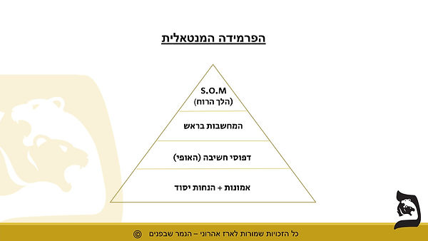 WhatsApp Image 2025-01-08 at 21.41.25.jpeg