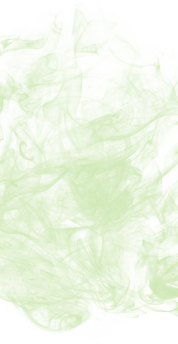 מאירות (21).png
