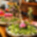 D51849D4-9868-4128-B476-524422659C26.jpeg