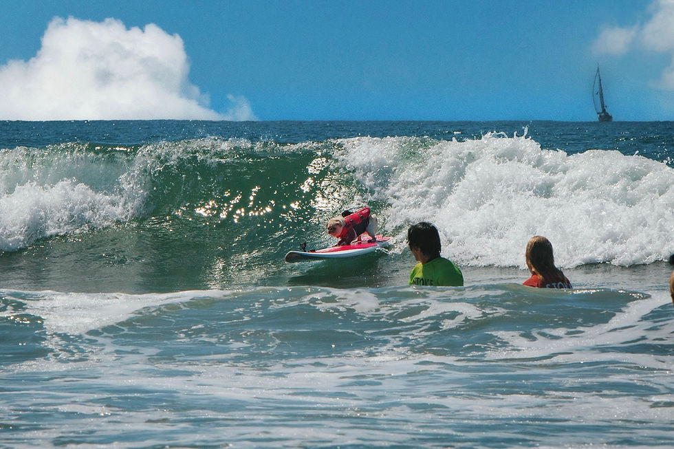 Thumbnail: Surf Gidget Surf Photos, Sales Go To The Surf Gidget Foundation