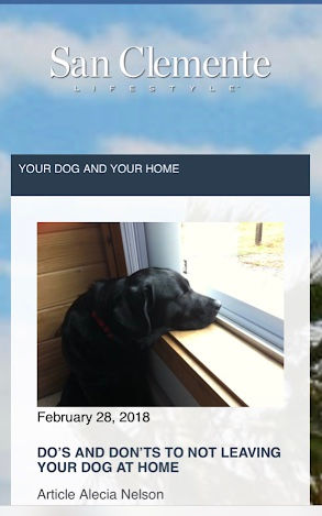 Do's & Don'ts Not Leaving Your Dog At Home