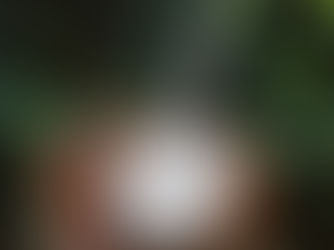 April 19, 2026:  Guess Who’s Coming to Dinner?