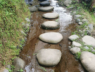 July 12, 2026: One Faithful Step 
