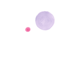SEO画像 (8).png