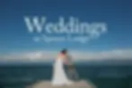 1471881815462-spruce-lodge-flathead-lake-montana-wedding-couple-.webp