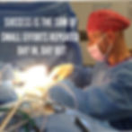 Dr Ces_Career 8