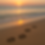 ChatGPT Image Sep 16, 2025 at 10_46_27 AM.png