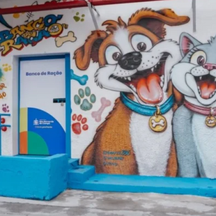 Espaço integrado à Secretaria de Desenvolvimento Social e Cidadania foi reestruturado pela Prefeitura para receber e distribuir doações de alimentos e insumos para cães e gatos