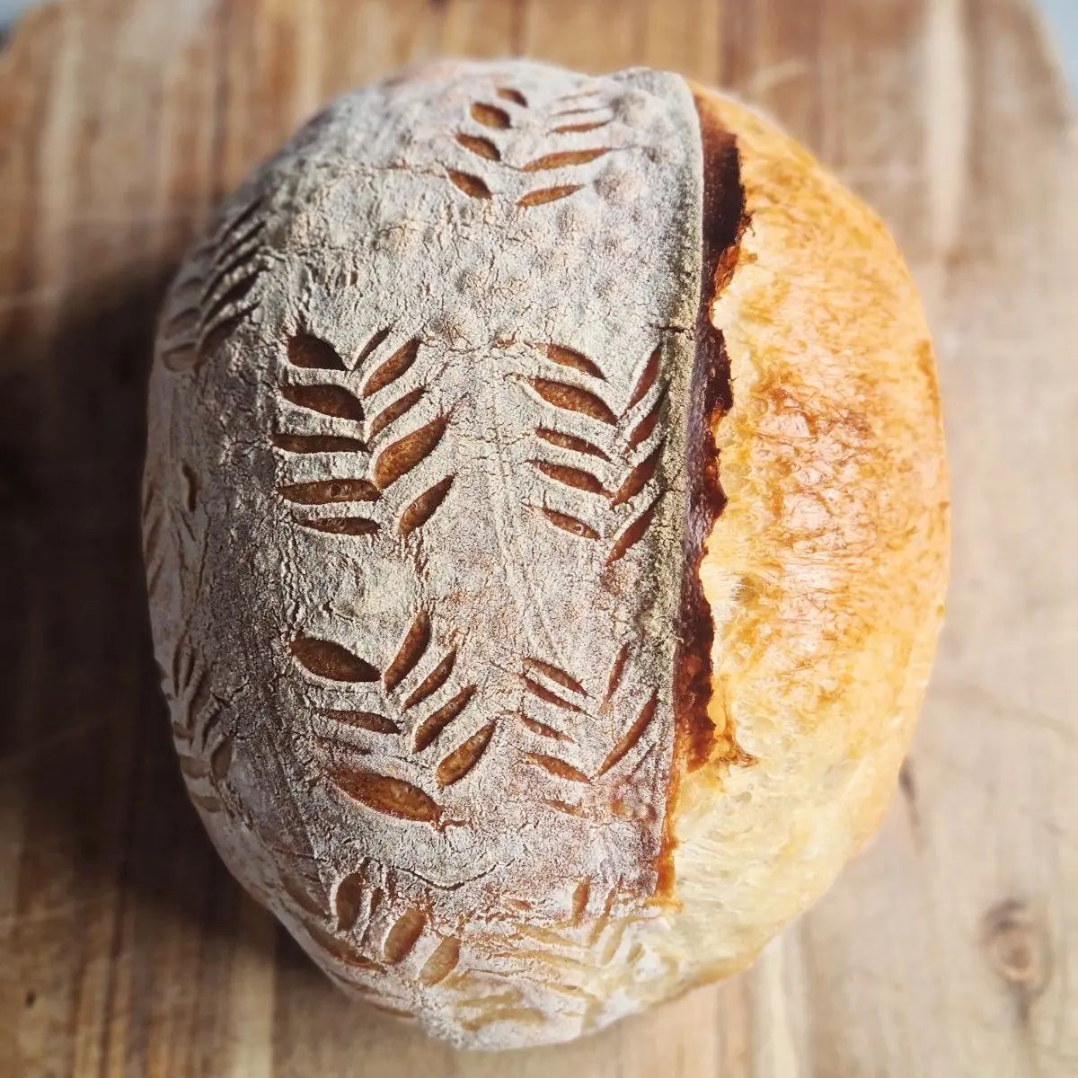 Sourdough Bread