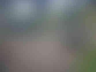 Biblical Gardens Elgin