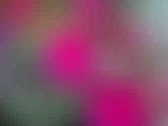 Biblical Gardens Elgin