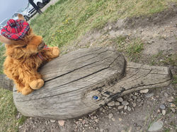 Ferghas rides a Dolphin