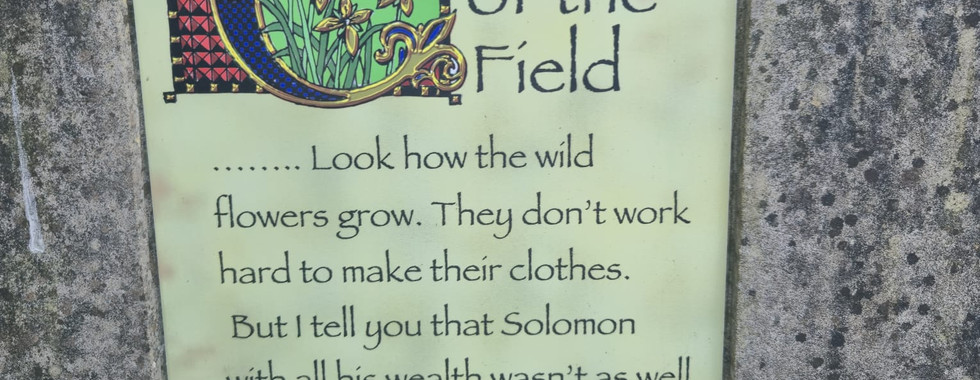 Biblical Gardens Elgin