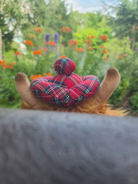 Biblical Gardens Elgin